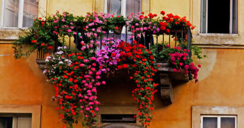 balcone fiorito